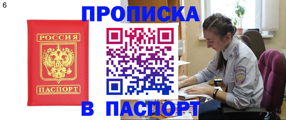 прописка гарантия в Тереке